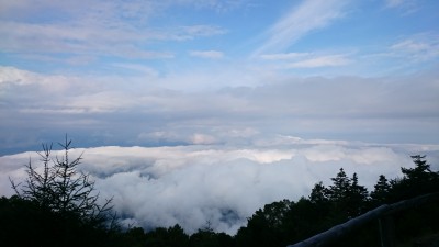 雲海